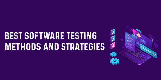 Application software testing techniques and strategies